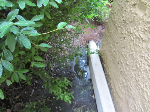 Example of inadequate downspout with pooling water at foundation.