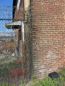 Example of deteriorated mortar joints due to a leaking downspout.